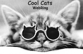 CoolCats.jpg