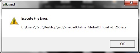 sro error.jpg
